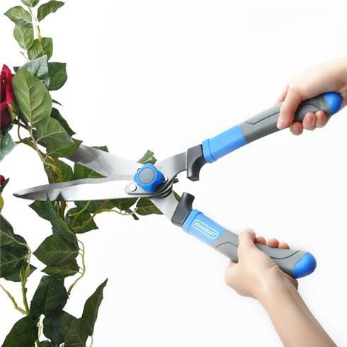 Cách chăm sóc các loại cây cảnh phong thủy trong văn phòng