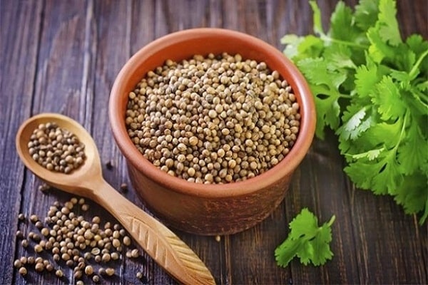 Ngạc nhiên với 10 tác dụng trị bệnh của rau mùi không phải ai cũng biết