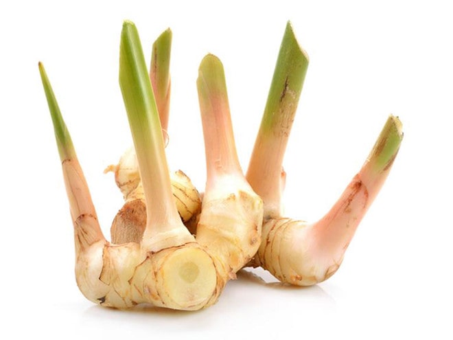Những hiệu quả chữa bệnh mà ít tai ngờ tới của củ riềng