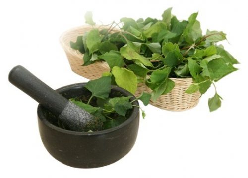 Những bài thuốc hay chữa nhiều bệnh thường gặp từ rau diếp cá