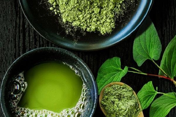 Những bài thuốc hay chữa nhiều bệnh thường gặp từ rau diếp cá