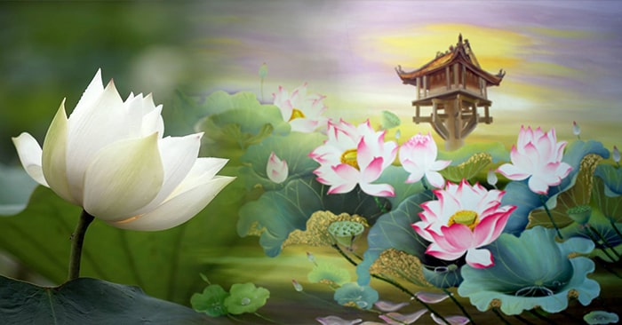 Ý nghĩa đặc thù của hình tượng hoa sen trong Phật giáo