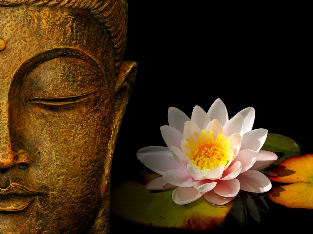 Ý nghĩa đặc thù của hình tượng hoa sen trong Phật giáo